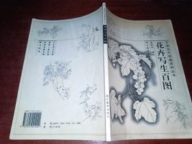 花卉写生百图——中国当代线描资料丛书