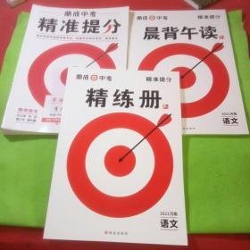 鼎城中考精准提分语文+晨背午读+精练册共3本合售  （2024版）