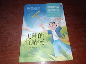 课本作家群文阅读 金色卷 飞翔竹蜻蜓