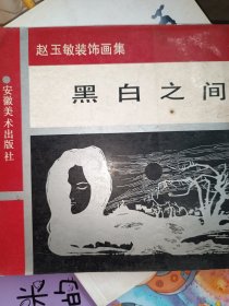 赵玉敏装饰画集 黑白之间