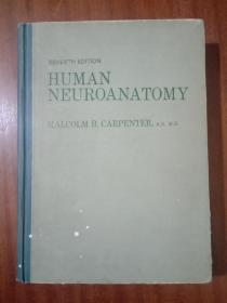 英文原版: 人体神经解剖学 HUMAN NEUROANATOMY Seventh edition