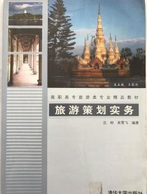 旅游策划实务 沈刚著 9787302178439清华大学出版社