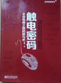 实战电商系列·触电密码：企业电商之路的道与术（全彩）