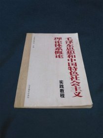 毛泽东思想和中国特色社会主义理论体系概论实践教
程