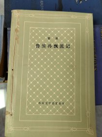 鲁冰孙漂流记