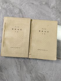 荒凉山庄