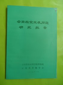 云南粮食发展问题研究报告