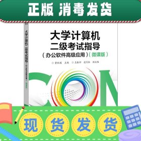 大学计算机二级考试指导（办公软件高级应用）（微课版）