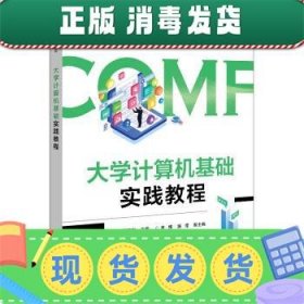 大学计算机基础实践教程