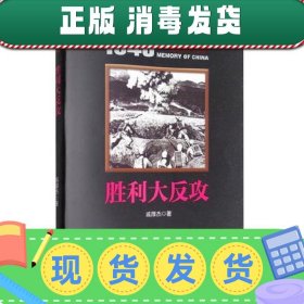 胜利大反攻/1945中国记忆