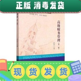 高级财务管理(第2版高等学校创新性数智化应用型经济管理规划教材)/财务系列