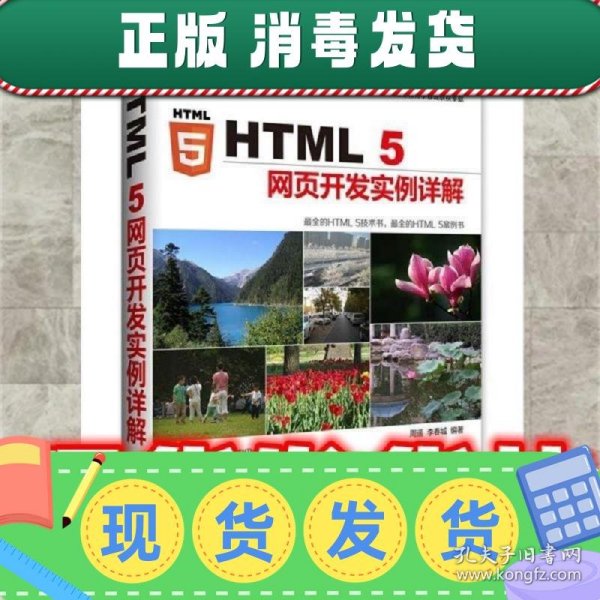 HTML 5网页开发实例详解