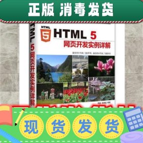 HTML 5网页开发实例详解