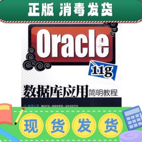 Oracle 11g数据库应用简明教程