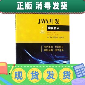 发货快！JAVA开发实用技术 梁勇强,蒙峭缘 编 9787564352684