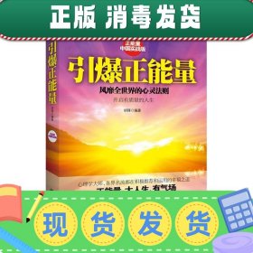 引爆正能量（正能量之中国实战版，风靡全世界的心灵法则！正能量、大人生、有气场！Hold住正能量，人生无限量！）