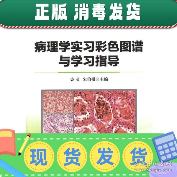 病理学实习彩色图谱与学习指导/普通高等教育“十二五”规划教材