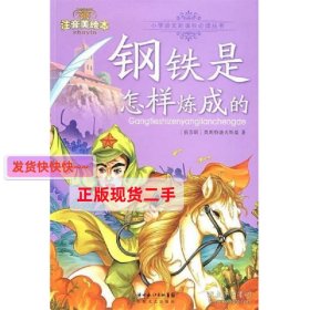 钢铁是怎样炼成的-小学语文新课标必读丛书