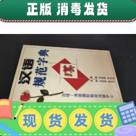 【正版~】汉语规范字典