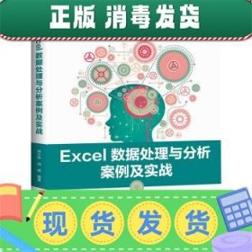 Excel数据处理与分析案例及实战