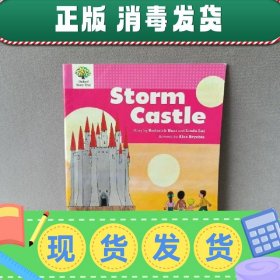 【英文】英文原版 Storm Castle