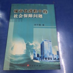 城市化进程中的社会保障问题