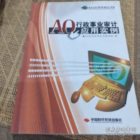 AO应用实例丛书：AO行政事业审计应用实例