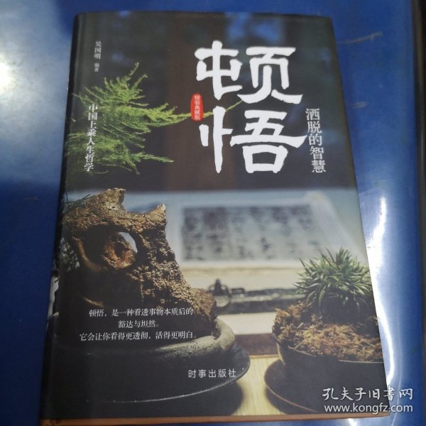 顿悟：洒脱的智慧