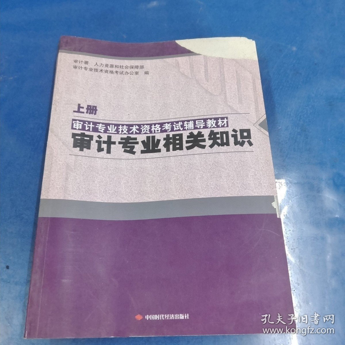 审计专业技术资格考试辅导教材 : 全2册