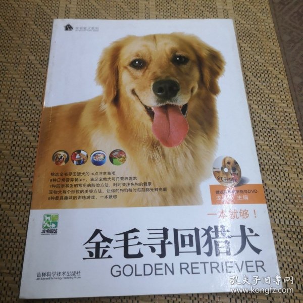 金毛寻回猎犬