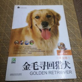 金毛寻回猎犬