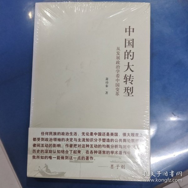 中国的大转型：从发展政治学看中国变革