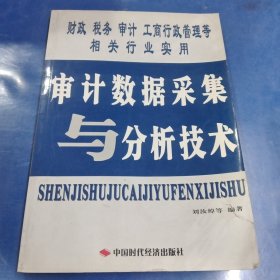 審計(jì)數(shù)據(jù)采集與分析技術(shù)
