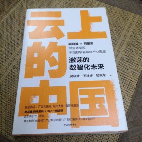 云上的中国：激荡的数智化未来