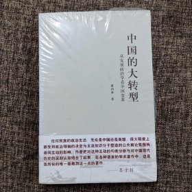 中国的大转型：从发展政治学看中国变革