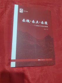 红色广东丛书：赤魂·赤土·赤旗———广东海陆丰农民运动群雕