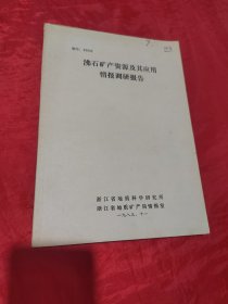 沸石矿产资源及其应用情报调研报告