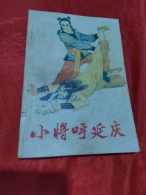 小将呼延庆