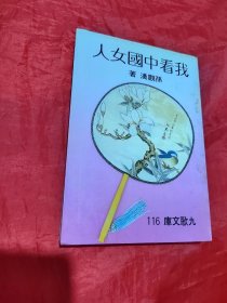 我看中國(guó)女人 （ 九歌出版社）