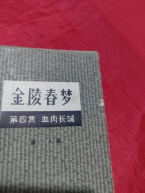 金陵春梦（第四集）