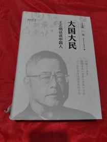 大国大民——王志纲话说中国人