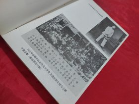 叶挺将军传