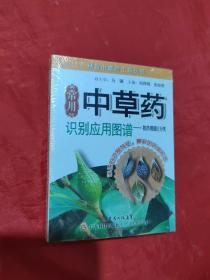 精致中草药工具丛书·常用中草药识别应用图谱：按药用部位分类（未拆封）