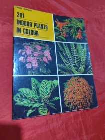 201 INDOOR PLANTS IN COLOUR (201室内植物的颜色) 彩图版