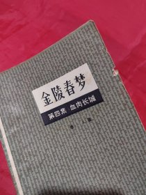 金陵春梦（第四集）