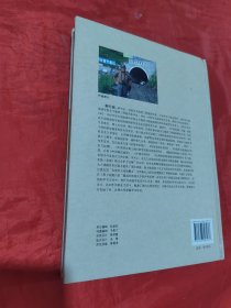 隧道岩溶涌水预报与处治 : 专家评判系统在沪蓉西高速公路的应用