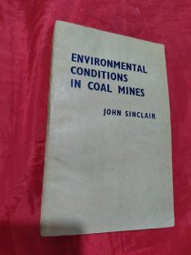 ENVIRONMENTAL CONDITIONS IN COAL MINES（煤矿中的环境设定）