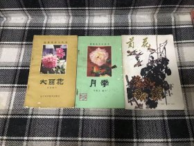 《大丽花》  《月季》 盆栽花卉小丛书+菊花  三本合售