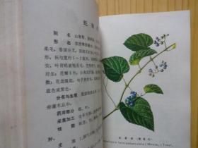 常用中草药彩色图谱（第一、二、三，3册合售）