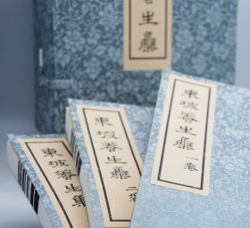 【现代影印】 《东坡养生集》二函十二本 宣纸线装本